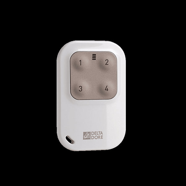 Télécommande porte clé Tyxia 1410 DELTA DORE 6351389