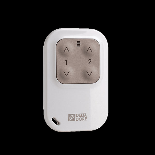 Télécommande porte-clé 4 touches Tyxia 1400 DELTA DORE 6351388