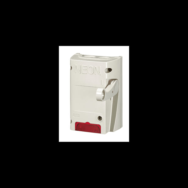 Coffret de sécurité pour coupure enseigne lumineuse 2P 16A LEGRAND 038050