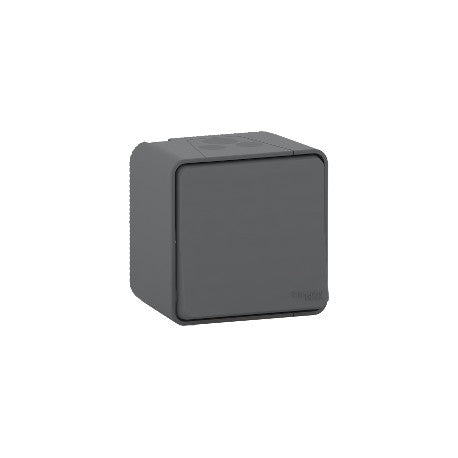 Poussoir étanche saillie Mureva Styl - IP55 gris complet - Schneider MUR35026