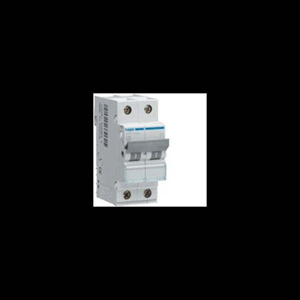 Disjoncteur 2P 6/10kA 40A 2 modules courbe C HAGER NFN240