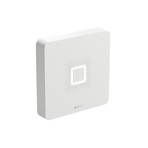 Hub Tyxal+ Centrale sirène connectée 4G Wifi ethernet 8 zones - Delta Dore 6411126