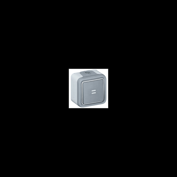 Va-et-vient lumineux Plexo complet  IP55 LEGRAND 069713
