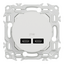Odace - chargeur double USB type C+C - 21W Power Delivery - blanc craie - Schneider Electric S920401
