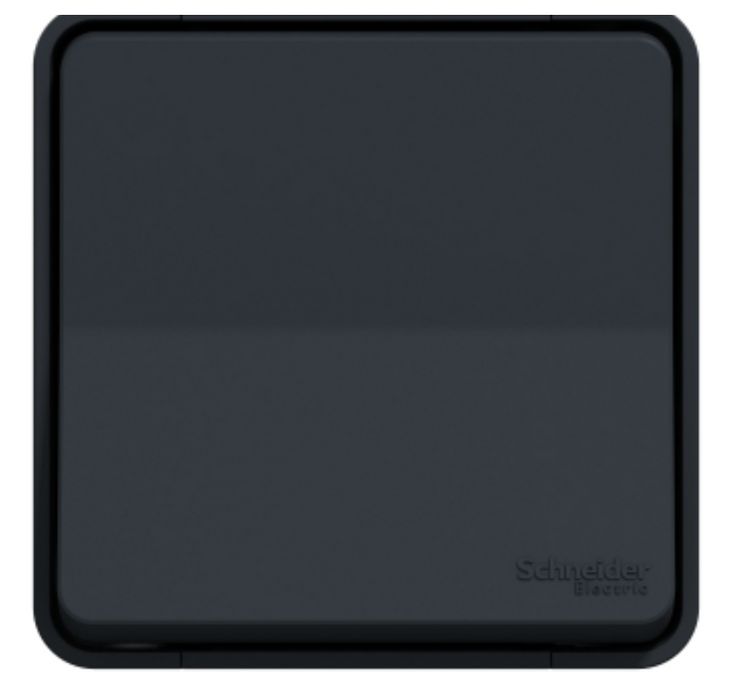 Va et vient étanche saillie Mureva Styl - IP55 gris complet - Schneider MUR35021