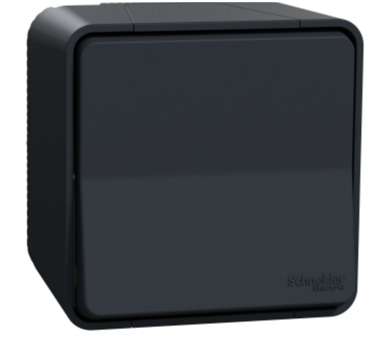 Va et vient étanche saillie Mureva Styl - IP55 gris complet - Schneider MUR35021