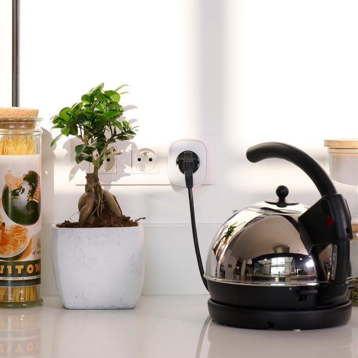 Prise connectée Zigbee blanc - Easy Plug avec mesure de la consommation - Delta Dore